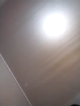 Tayanehot online show from 04.08.26