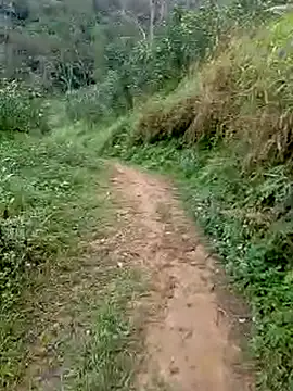 Cloud-wh online show from 03.05.26