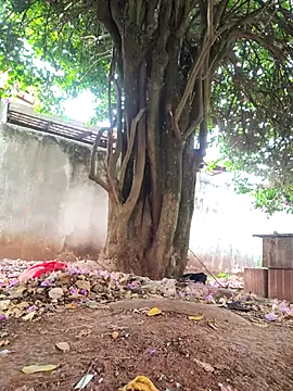 Lucasjandre online show from 11.22.25