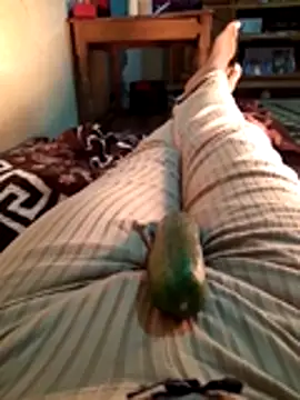 Tota sexi online show from 11.28.25