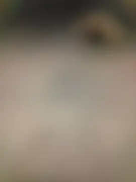 piggylatino online show from 02.02.26