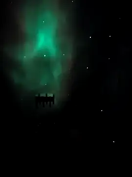 Snapshot of arcacsel chatting on 11.24.25 arcacsel online show from 11.24.25