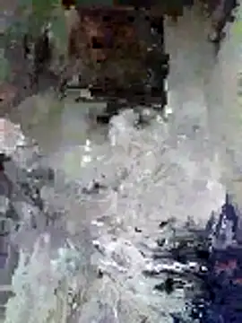 Junior 47 online show from 11.16.25