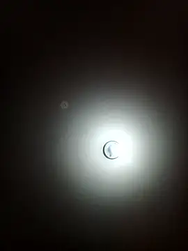  mery 23 online show from 01.13.26