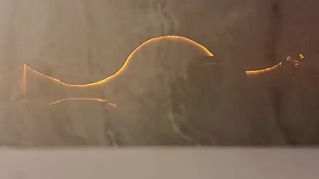 Snapshot of samy_tp chatting on 12.05.25 samy tp online show from 12.05.25