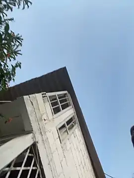 zyrastorm online show from 11.30.25