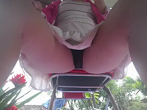 Amos Eva online show from 02.11.26