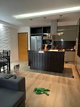 Snapshot of BelleRune chatting on 01.01.25 BelleRune online show from 01.01.25