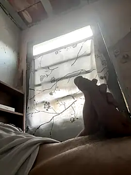 24 c online show from 12.02.25