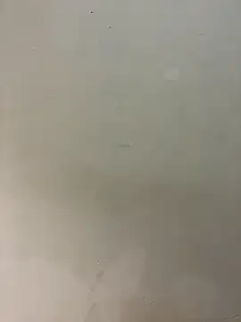 bigass256 online show from 02.14.26