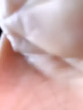 Cat-meow online show from 11.25.25