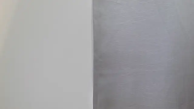 Snapshot of Camii_29 chatting on 12.18.25 Camii 29 online show from 12.18.25