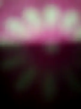 Snapshot of Nandani-758 chatting on 12.19.25 Nandani-758 online show from 12.19.25