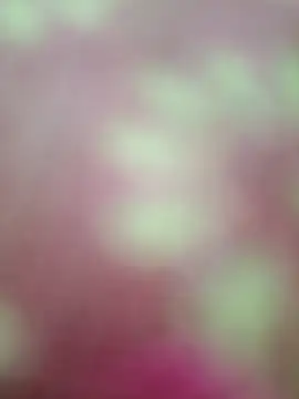 Snapshot of Nandani-758 chatting on 02.20.26 Nandani-758 online show from 02.20.26