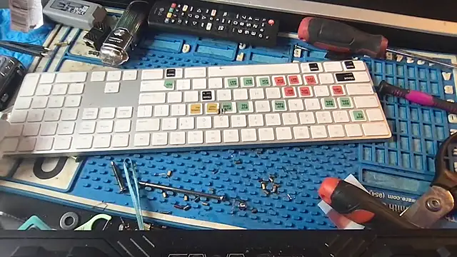 SinlessFreedom7 online show from 01.31.26