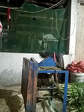 nangmo online show from 03.12.26