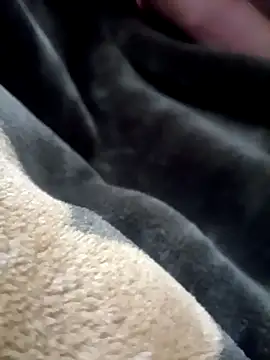 bold 77 online show from 11.25.25