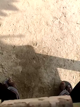 bold 77 online show from 12.02.25