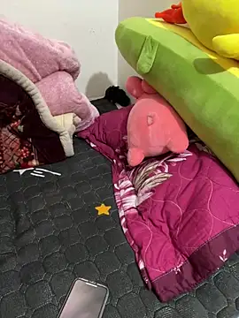 Snapshot of Hong8999 chatting on 12.04.25 Hong8999 online show from 12.04.25