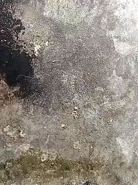 lynae-0 online show from 12.15.25