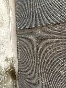 lynae-0 online show from 12.21.25