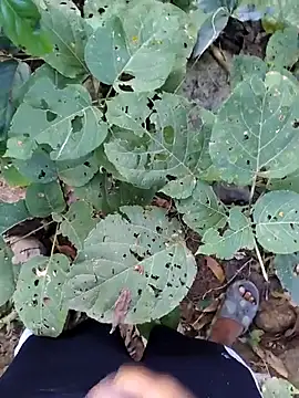 desi alpha boy online show from 01.17.26