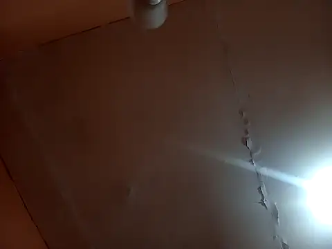 Snapshot of Bizcochitoc4 chatting on 02.18.26 Bizcochitoc4 online show from 02.18.26