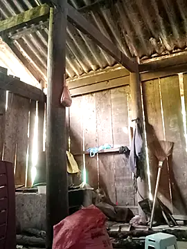 Snapshot of Lily-ross22 chatting on 11.25.25 Lily-ross22 online show from 11.25.25