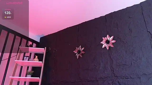 Paulo 527 online show from 01.12.26