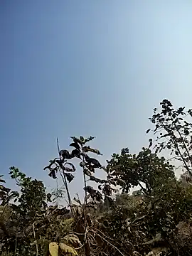 88zaifkhan88 online show from 01.14.26