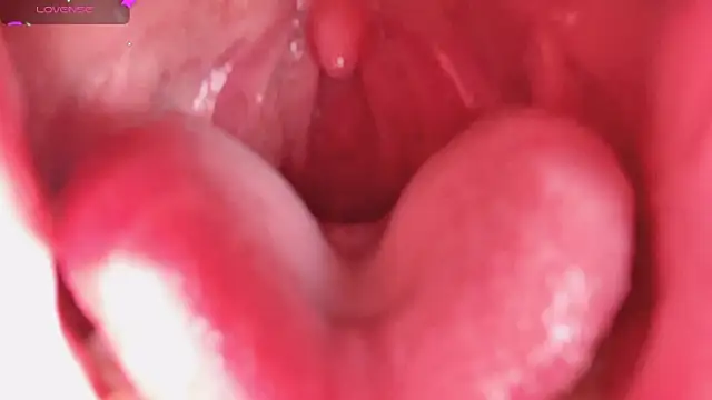 LT-333 online show from 02.05.26