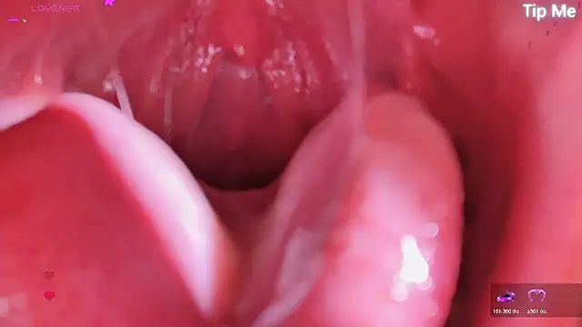 LT-333 online show from 04.17.26