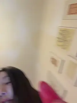 Snapshot of linjianvhai chatting on 04.12.26 linjianvhai online show from 04.12.26