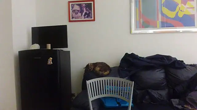 AMIRDIB2025 online show from 04.18.26