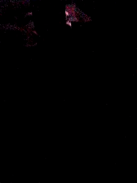 spartan24cm online show from 11.28.25