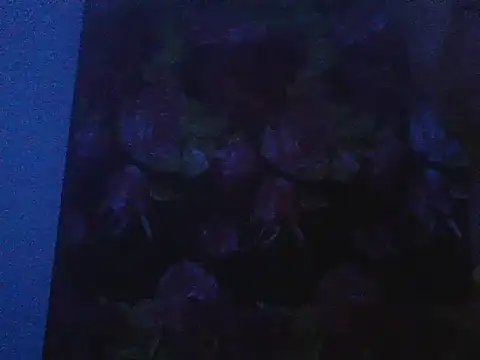 Maverik1313 online show from 02.07.26