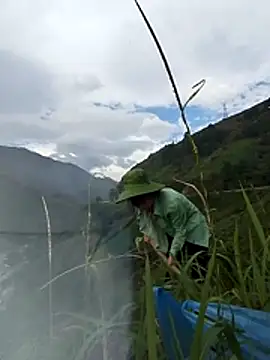 Snapshot of Maiphu34 chatting on 05.13.26 Maiphu34 online show from 05.13.26