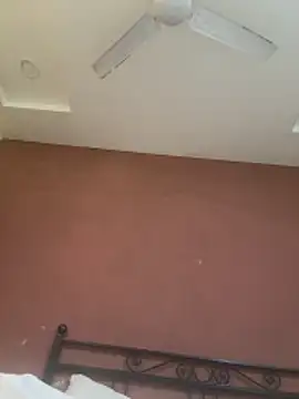 Anshtease online show from 02.27.26