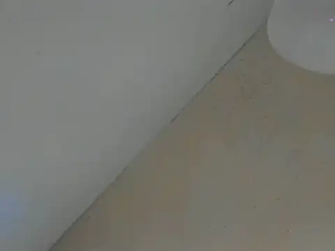 SweeXioji online show from 03.02.26