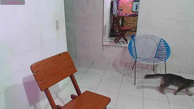 maxI dick33 online show from 02.14.26