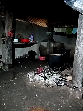 ava-dellght online show from 03.15.26