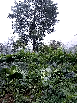 sary-hot2x online show from 02.24.26