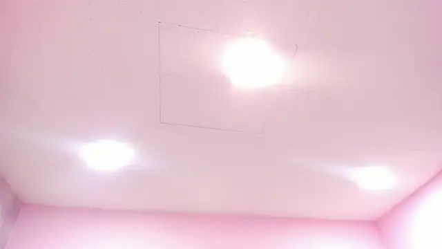 Snapshot of Tokio_Bliss chatting on 12.16.25 Tokio Bliss online show from 12.16.25