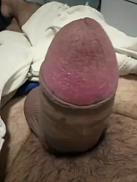 picachux online show from 04.26.26