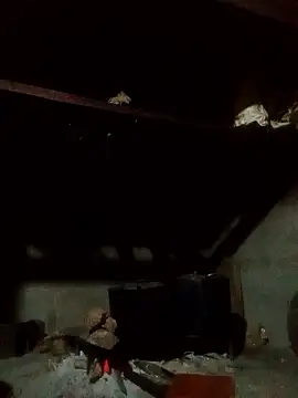 Amiluli online show from 01.14.26