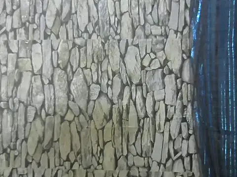 Exotic indian95 online show from 03.13.26