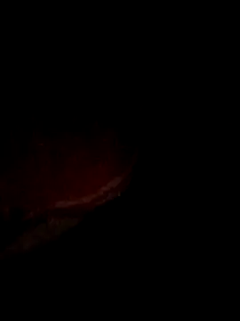 pritiqueen1001 online show from 12.13.25