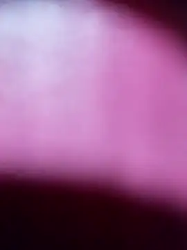 Myrelahot online show from 03.21.26