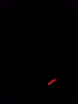 Snapshot of leobct555 chatting on 03.22.26 leobct555 online show from 03.22.26