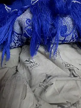 Snapshot of piedic chatting on 12.14.25 piedic online show from 12.14.25